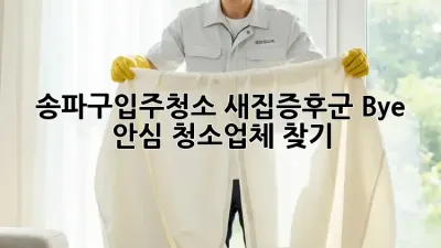 송파구입주청소✨ 새집증후군 Bye! 안심 청소업체 찾기