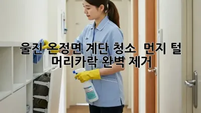 울진 온정면 계단 청소 ✨ 먼지, 털, 머리카락 완벽 제거!