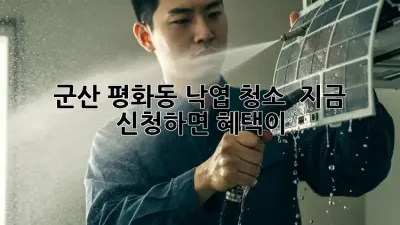 군산 평화동 낙엽 청소 🍂✨ 지금 신청하면 혜택이?!